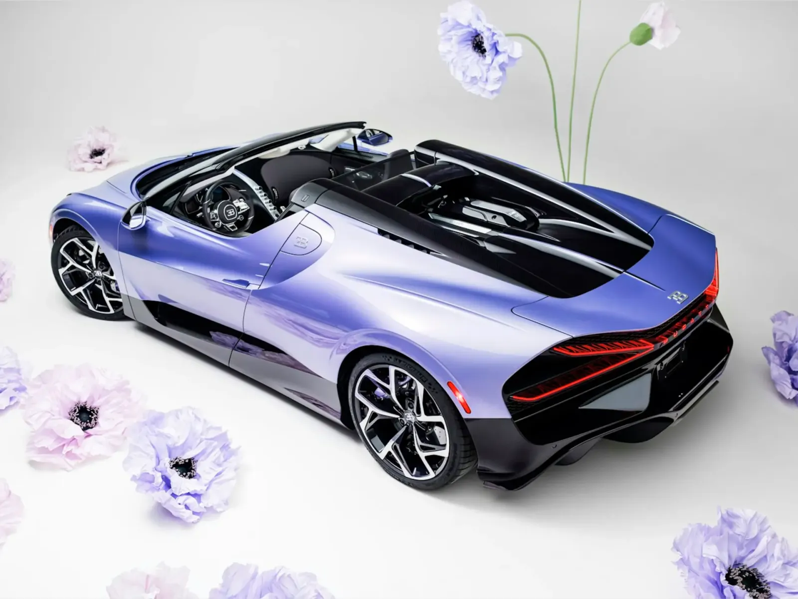 Bugatti Mistral Caroline - 2.webp
