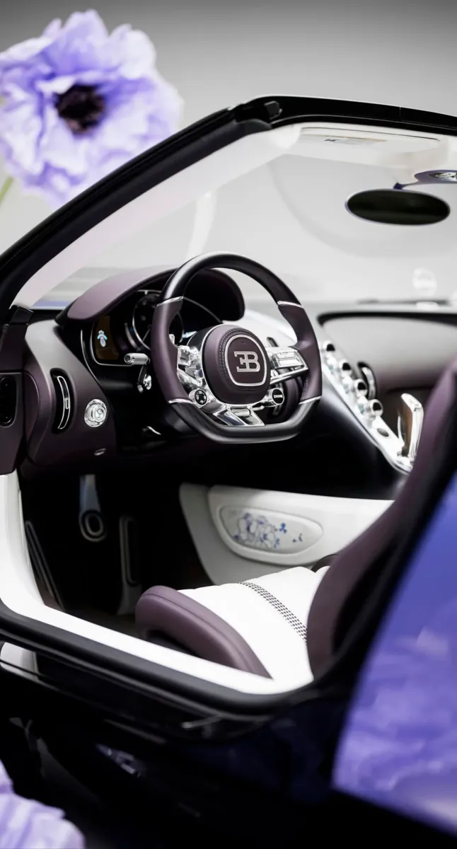 Bugatti Mistral „Caroline”. Foto: materiały prasowe producenta