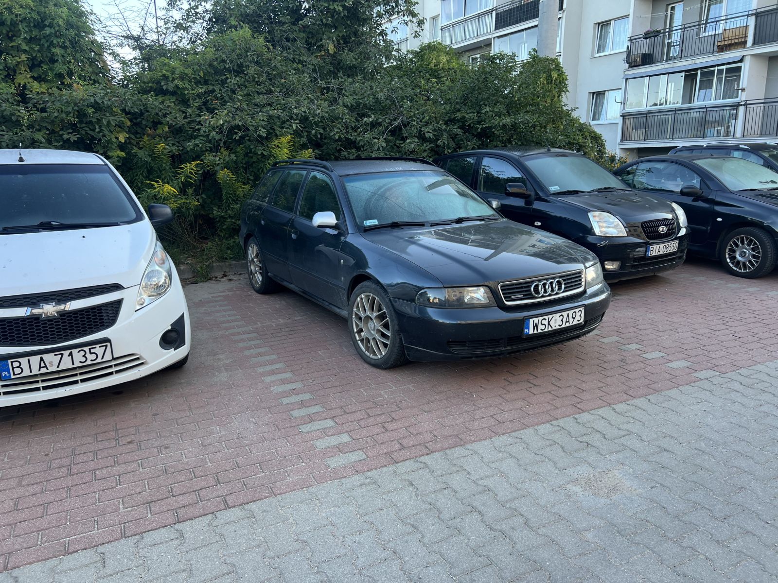 IMG_5739.jpeg