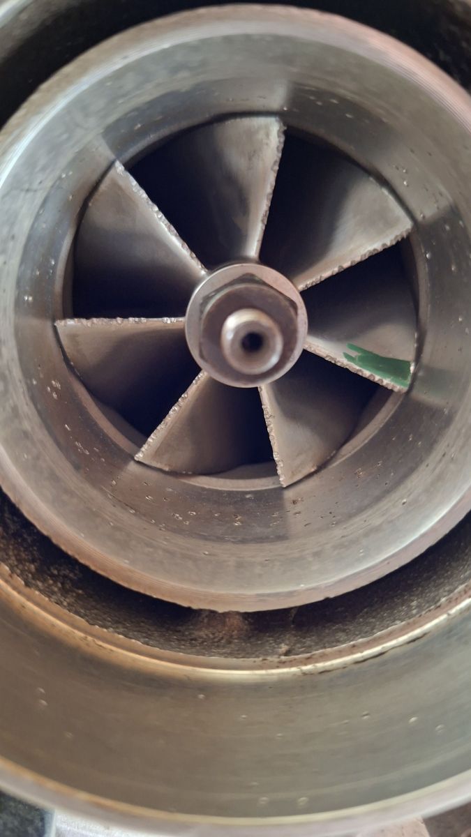 20260828_175330.jpg