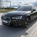 dzinek5